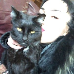 Meet your Posher, Charlotte